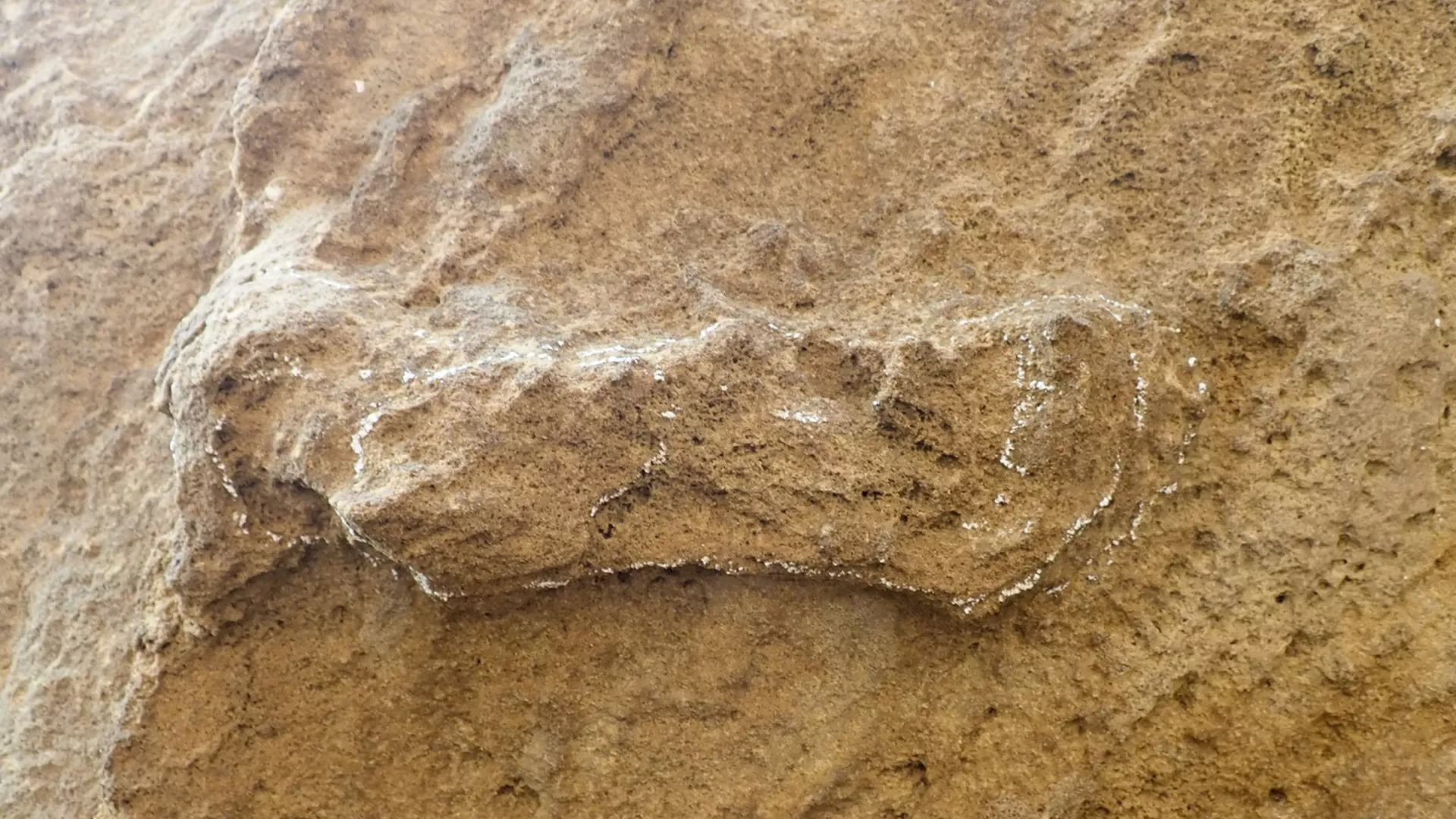 43 000 gadu vecs pirksta nospiedums atkal uzkurina diskusijas par neandertāliešu mākslu