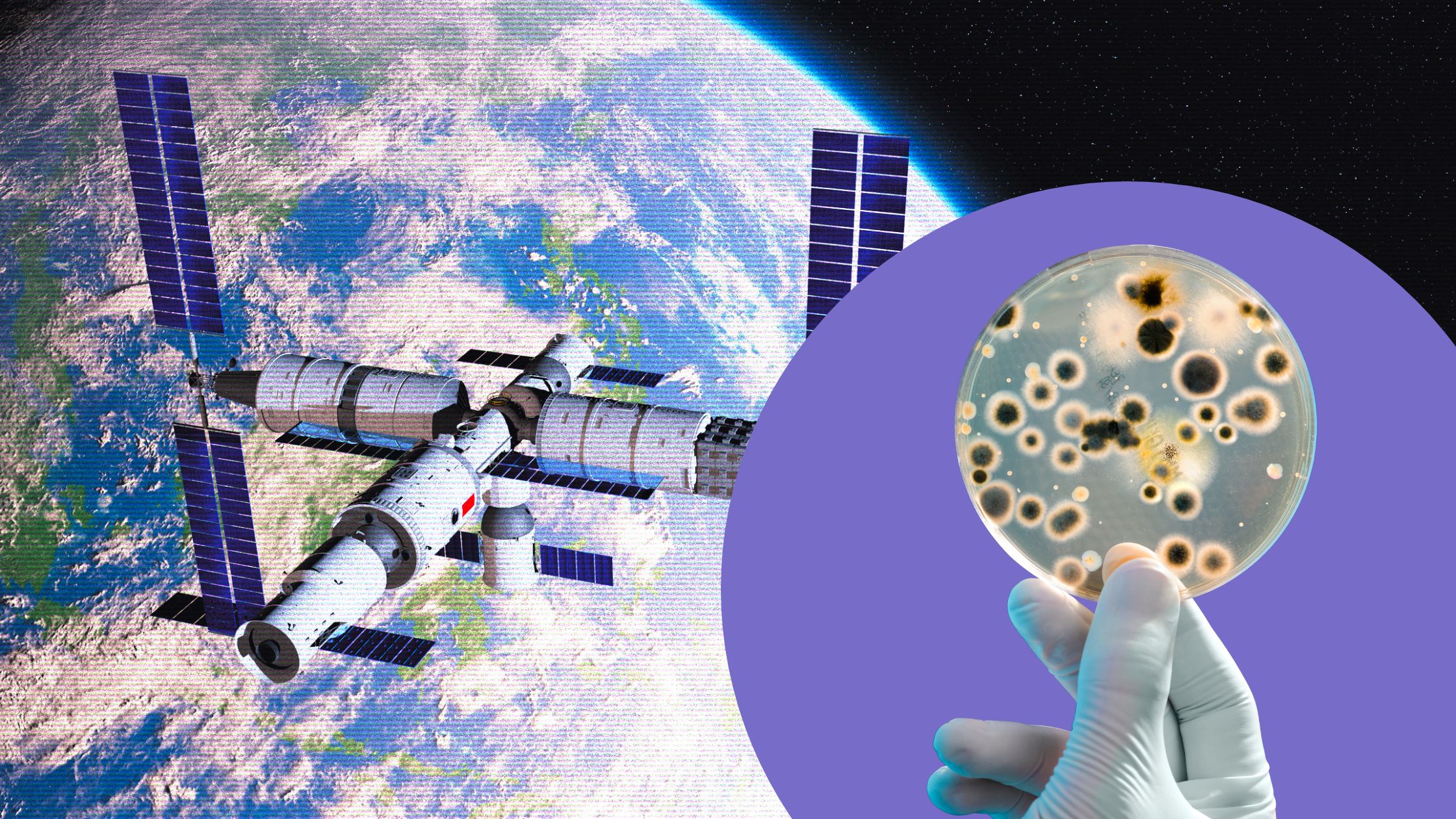 Ķīnaš kosmosa stacijā vairojas uz Zemes nezināma 1 baktērija: astronauti saskārās ar situāciju, kas ir cienīga zinātniskās fantastikas filmā