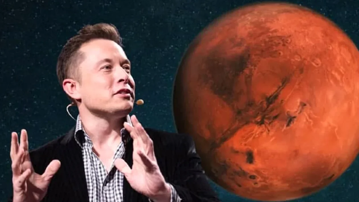 Musk