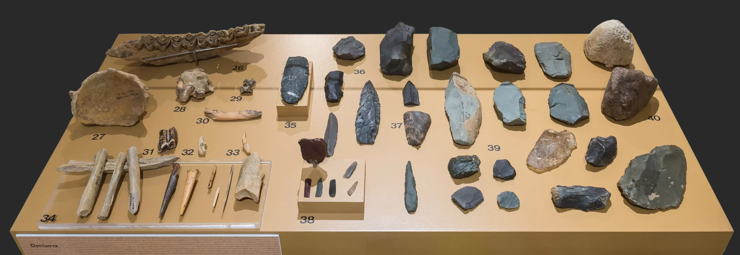 Neiedomājams arheoloģisks atklājums liecina, ka aizvēsturiskie cilvēki izgatavoja darbarīkus no vaļu kauliem