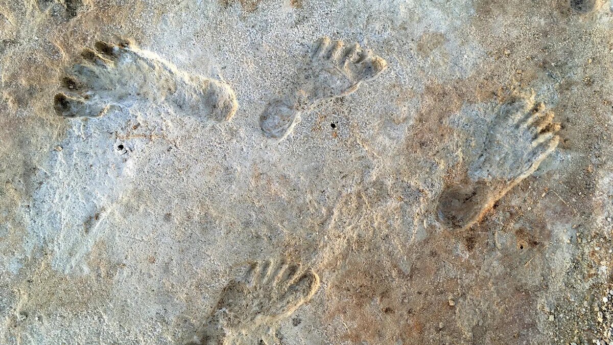 43 000 gadu vecs pirksta nospiedums atkal uzkurina diskusijas par neandertāliešu mākslu