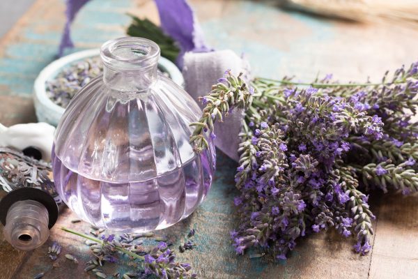 lavanda