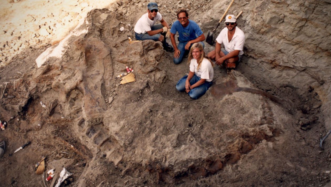 Arheologi