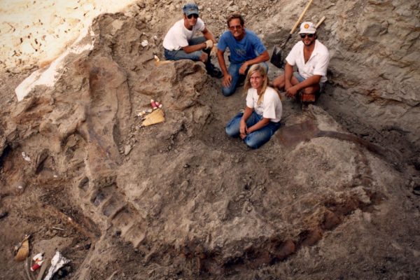 Arheologi