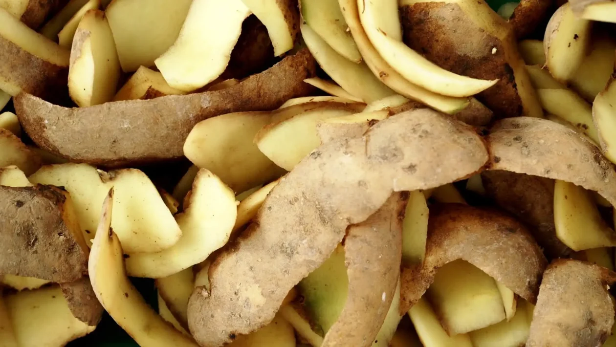 kartupeļus
