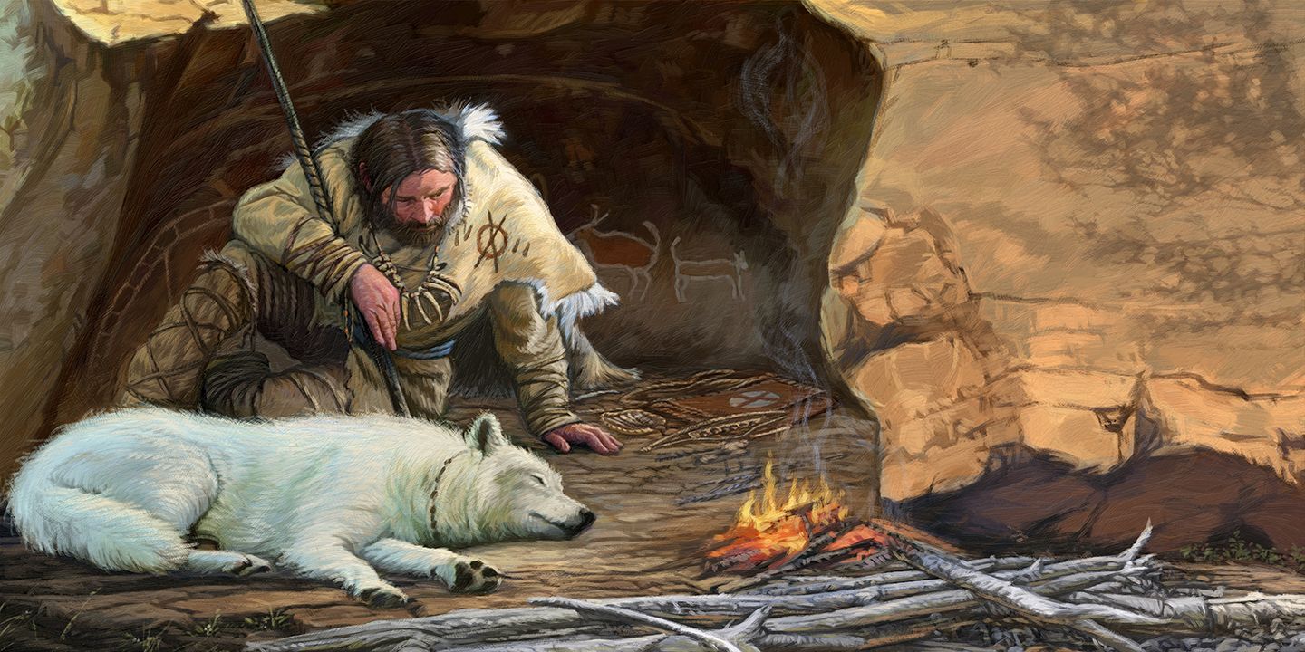 Atklāts noslēpumains gadījums ar diviem 14 000 gadus veciem vilkiem, kas atrasti sasaluši Sibīrijā: ģenētiskā analīze atspēko teoriju, ka tie bijuši pieradināti suņi.