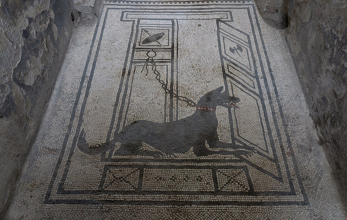 Cave canem: tādas attiecības bija senajiem romiešiem ar saviem suņiem.