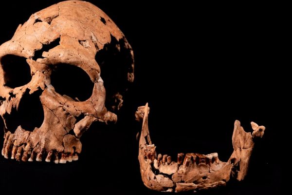 neandertāliešu