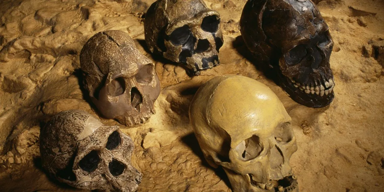 Arheologi ir atklājuši 300 000 gadu vecu galvaskausu, kas neatgādina nevienu no cilvēka priekšteču galvaskausiem.