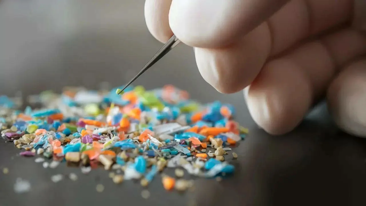Ko ārsts brīdina par apavu valkāšanu mājās: „Mikroplastmasa, baktērijas, fekālijas, vīrusi, pesticīdi, urīns...”