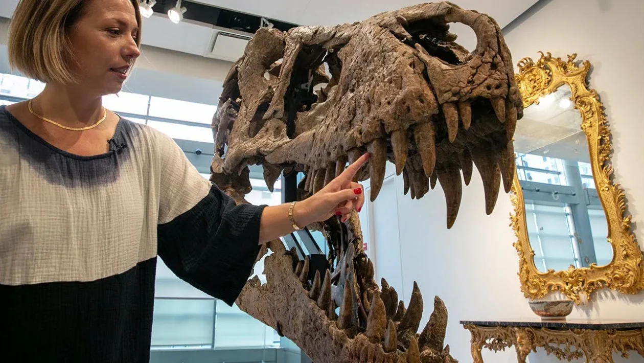 dinozauru