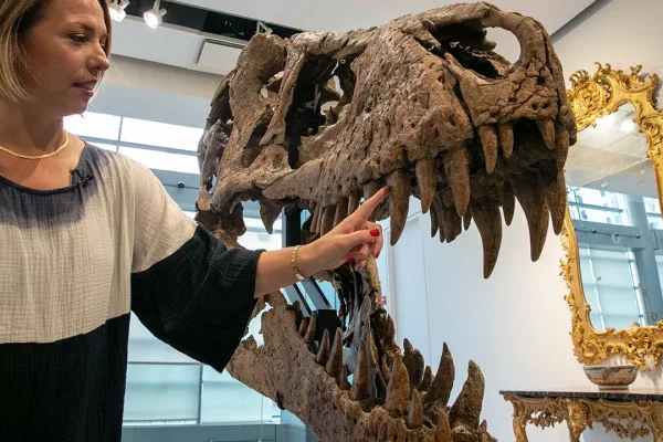 dinozauru