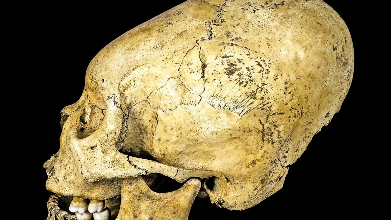 Arheologi