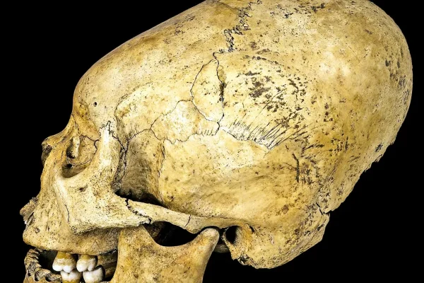 Arheologi