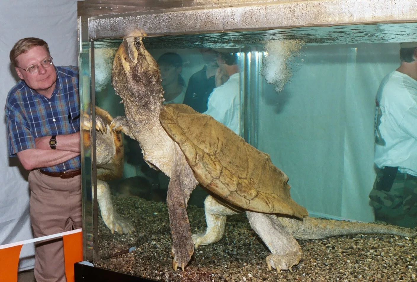 Amazones džungļos atrastas septiņas lielas urnas, kas piepildītas ar cilvēku mirstīgajām atliekām, zivīm un bruņurupučiem.