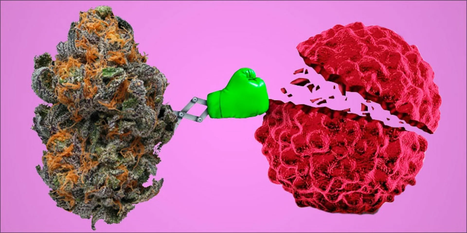 Kannabinoīdi maina smadzeņu vielmaiņu: astrocitāru mitohondriju nozīmīgā loma