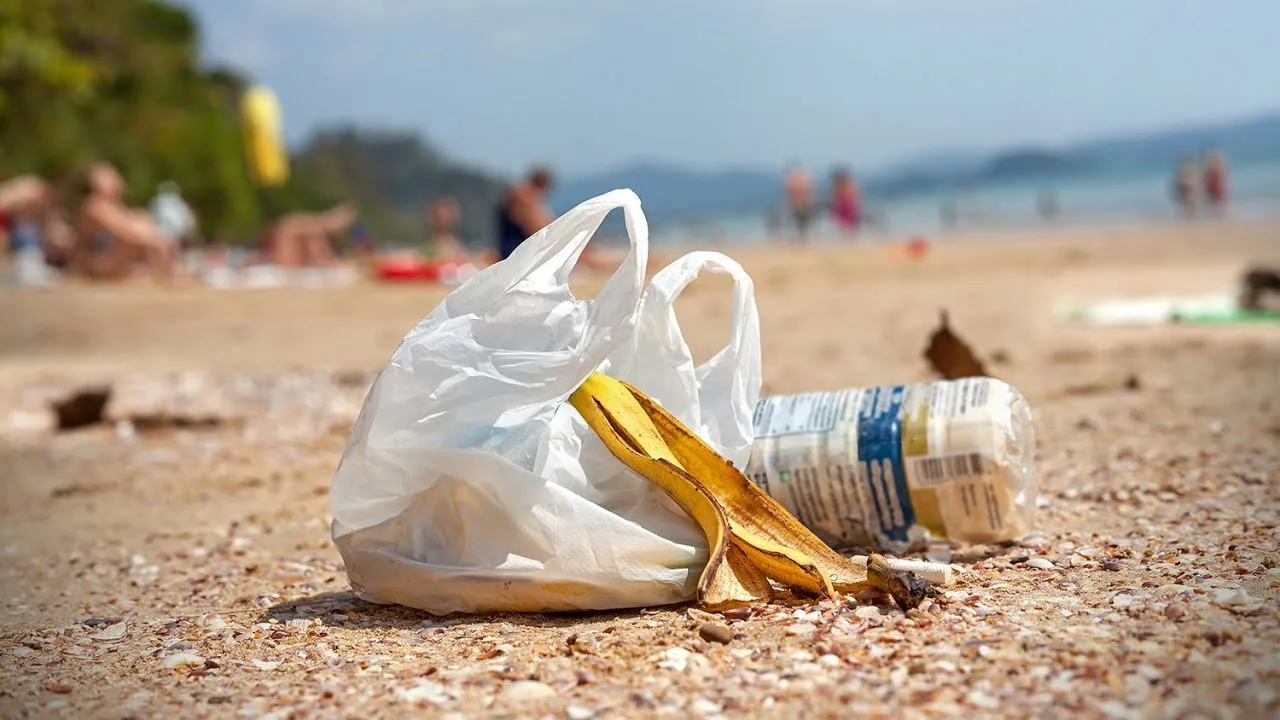 Jauns pētījums liecina, ka likumi, kas aizliedz plastmasas maisiņu izmantošanu, samazina to klātbūtni piekrastē par 47 %.