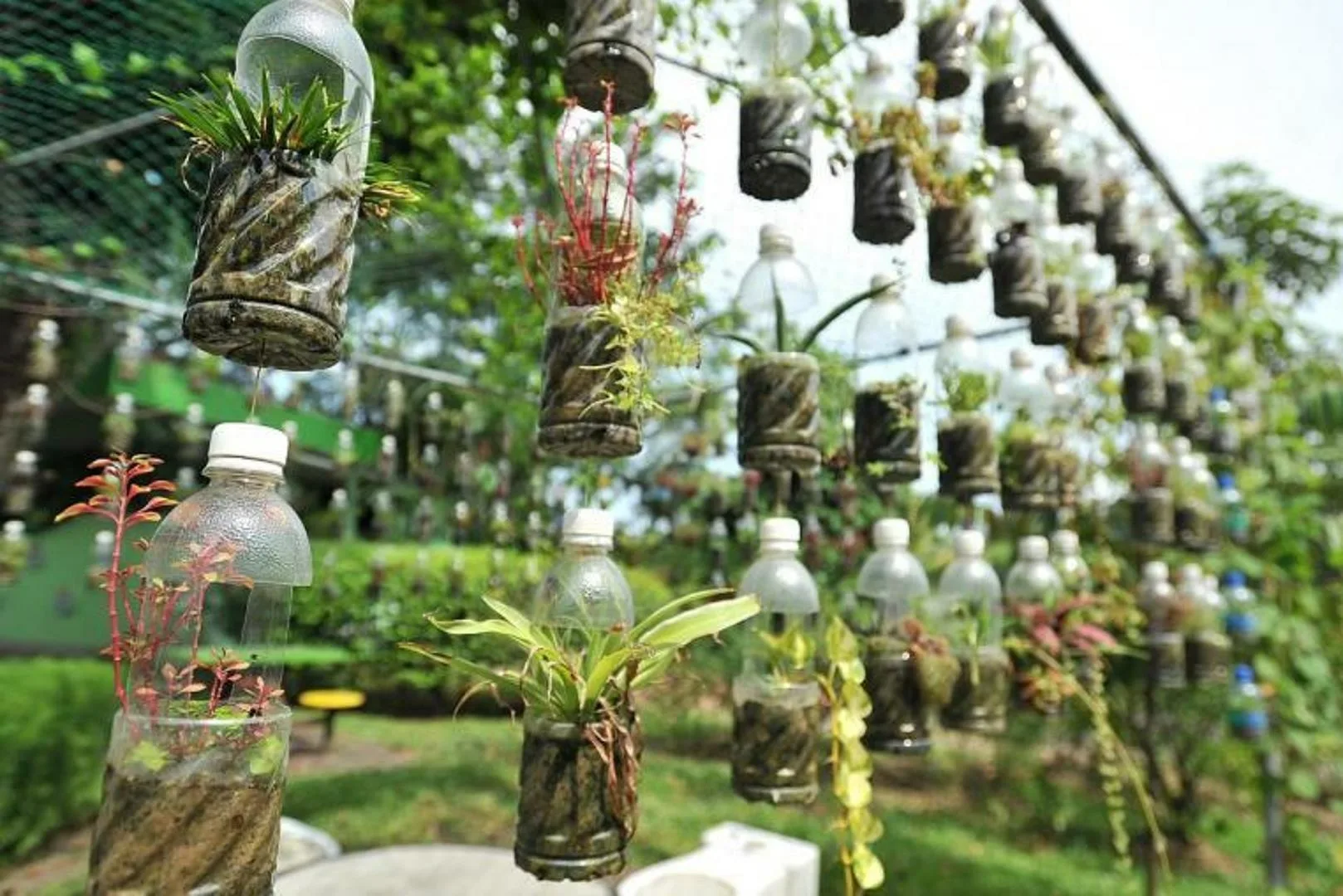 Kashpo pārvērš atlikušās plastmasas pudeles efektīvā risinājumā dārzam.