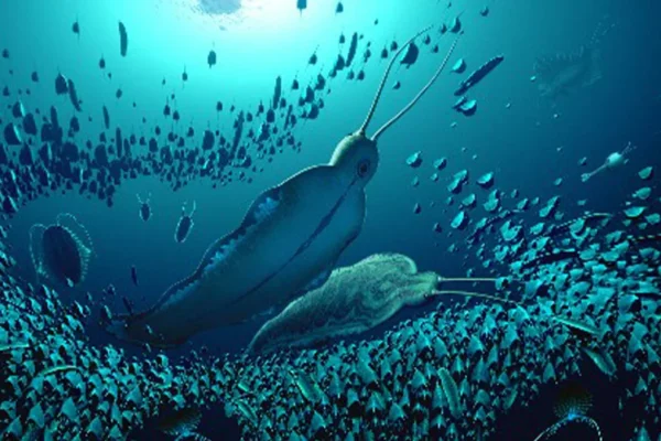 okeāna