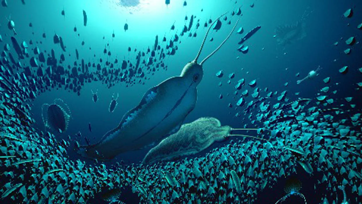 okeāna