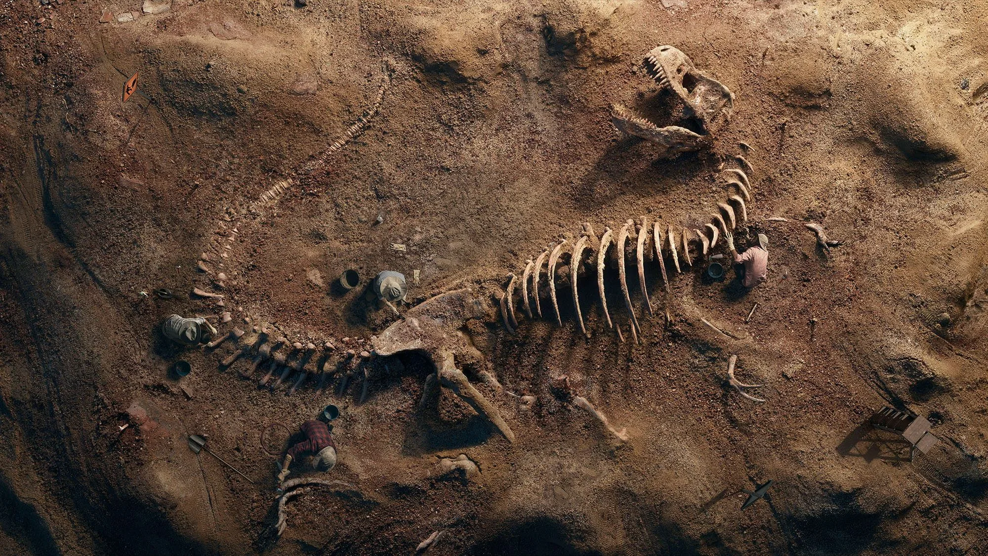 Paleontologi ir pārsteigti: reptiļi apdzīvoja Zemi 40 miljonus gadu agrāk, nekā tika uzskatīts iepriekš.