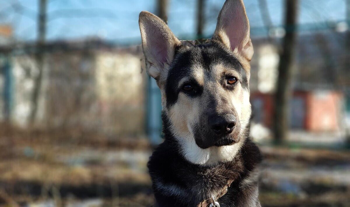 cilvēkiem