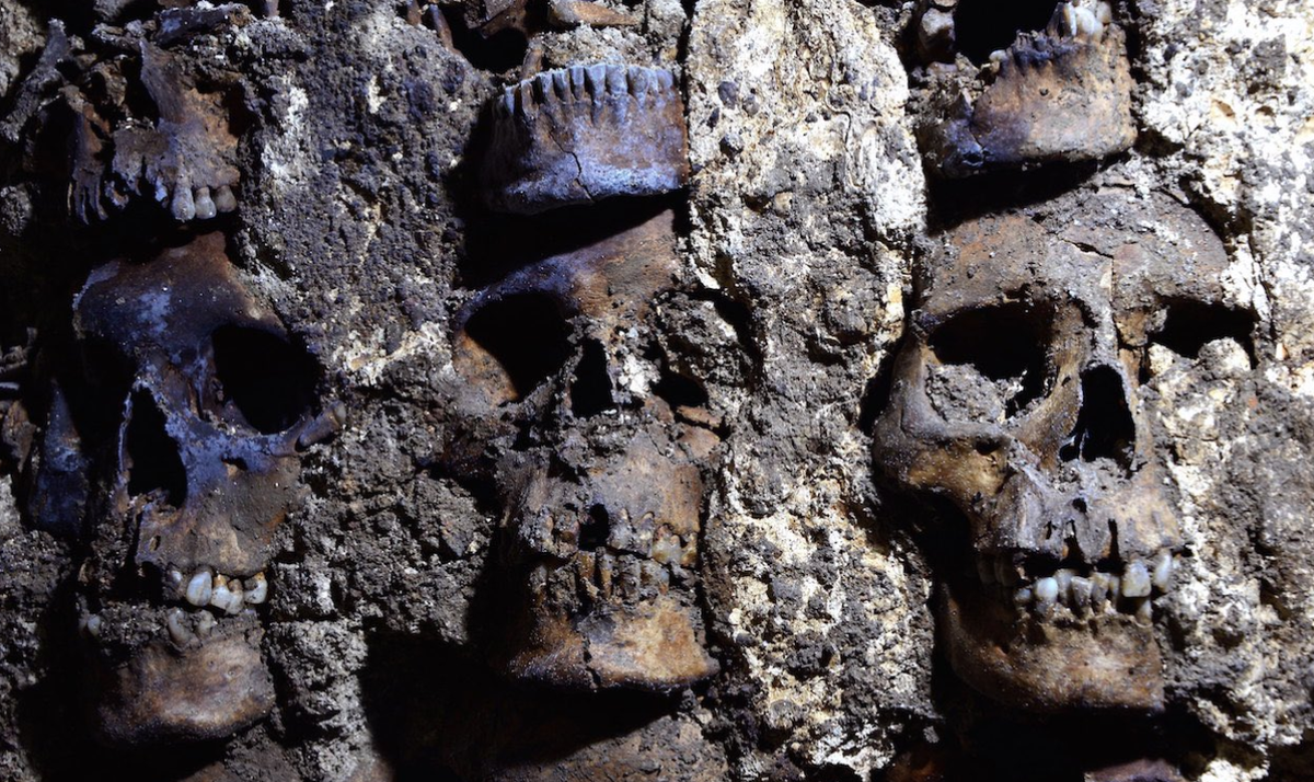 Mums ir jauni dati par neandertāliešu rituālo uzvedību: Des Cubierta alā (Madride) atrastas apzināti sakrautas dzīvnieku galvaskausu kaudzes.