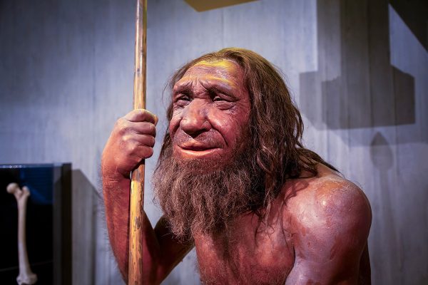neandertāliešus