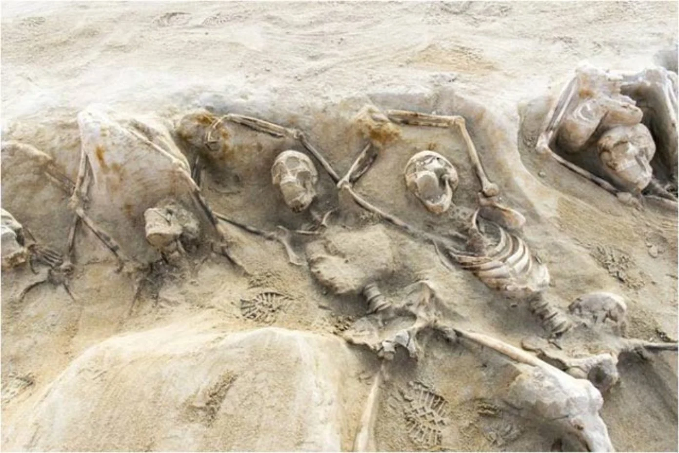 Senākais zināmais apbedījums datēts ar 140 000 gadiem atpakaļ Izraēlā un bija apbedījuma vieta meitenītei, kas bija sapienu un neandertāliešu hibrīds.