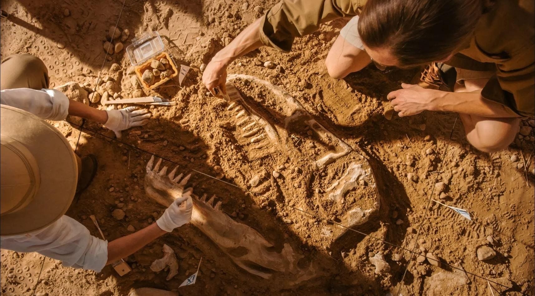Ir parādījusies Nāves upe: arheoloģiska vieta, kurā miruši tūkstošiem dinozauru.