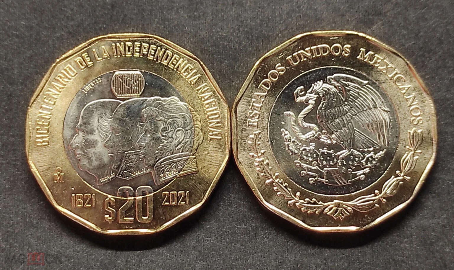 Viņi prasa 250 tūkstošus peso par monētu, kuras nominālvērtība ir 1 peso un kurā ir kļūda izlaides gadā.