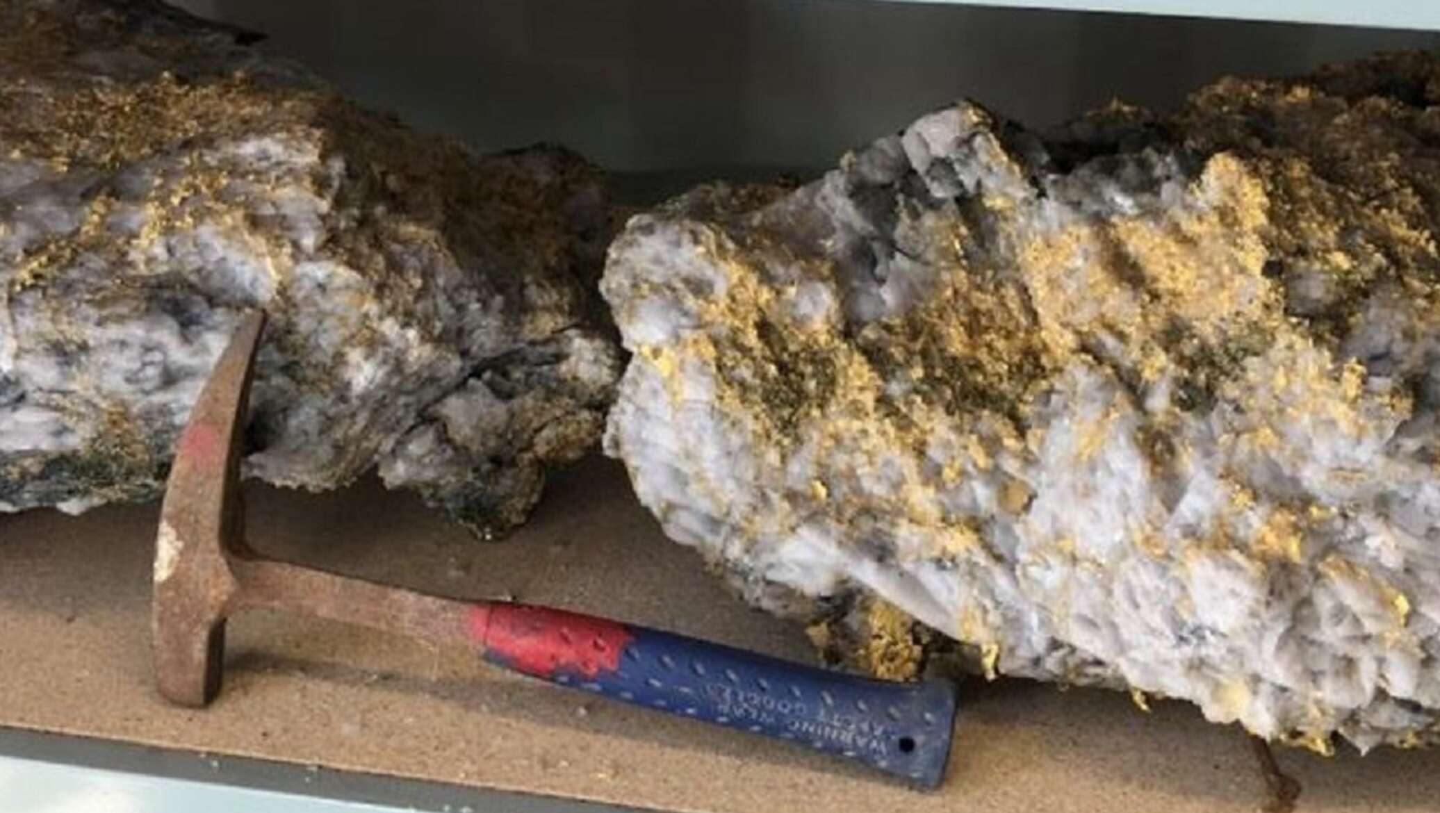 Tas nav zinātniskā fantastika: šis sēnīte pārvērš minerālus zeltā