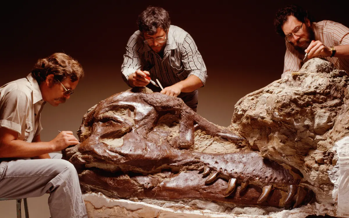 300 miljonus gadu vecs fosilija pierāda zinātnei, ka kaut kas līdzīgs dinozauriem no filmas “Rotaļlietu stāsts” patiešām ir eksistējis.