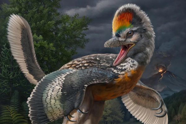 Dinozauri
