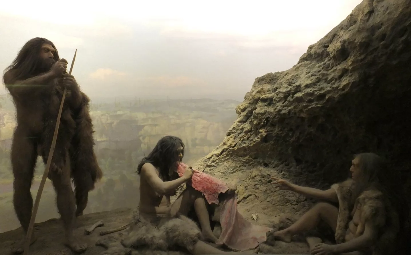 Kas nogalināja neandertāliešus: 40 000 gadu vecā mīkla beidzot atminēta?