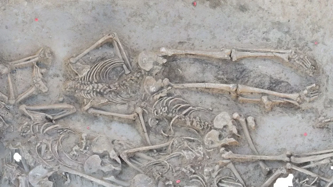 Arheologi