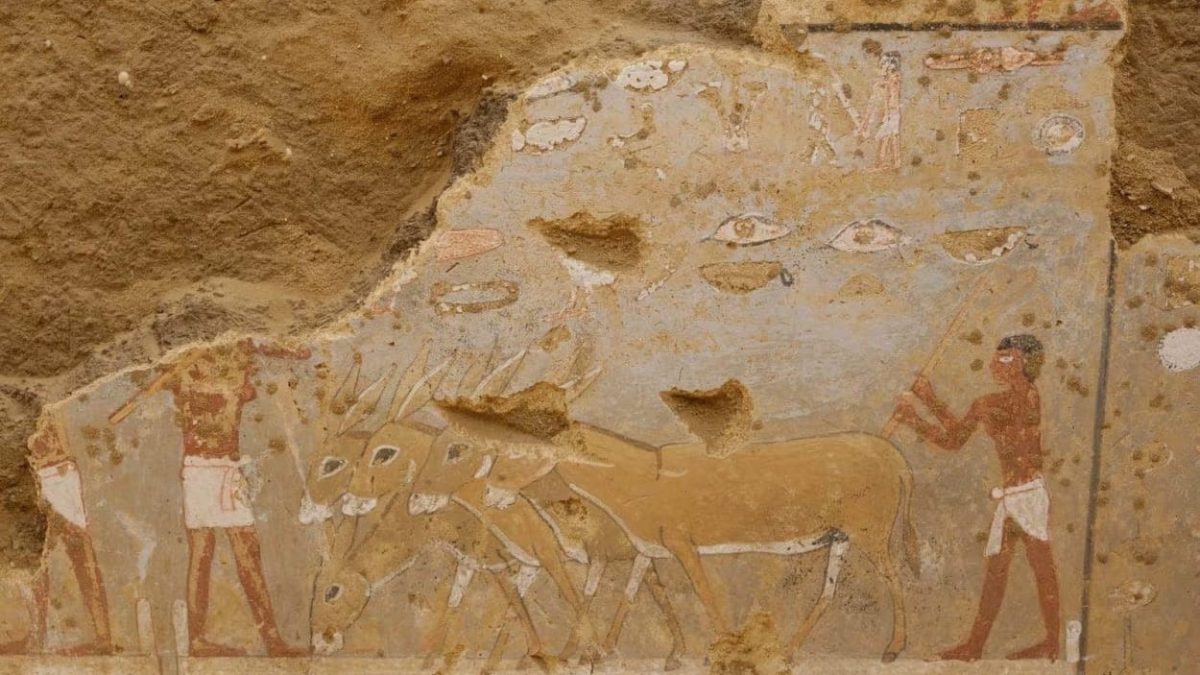 Nepārspējams atklājums: senākais Ēģiptes genoms atklāj negaidītu saikni ar Mesopotāmiju