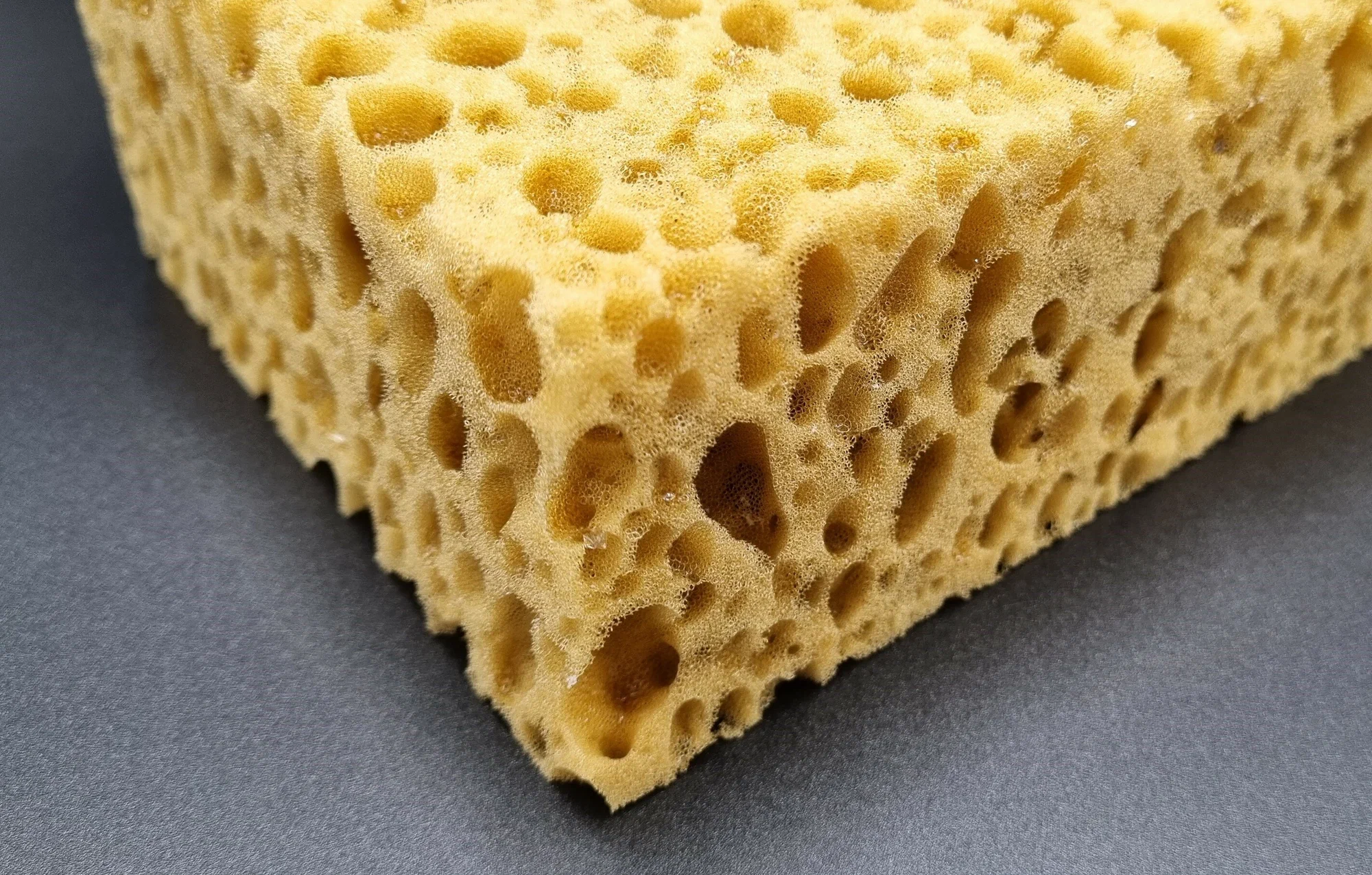 Specifiska sūklīte kopā ar sauli “pārvērš” sāļo ūdeni saldā